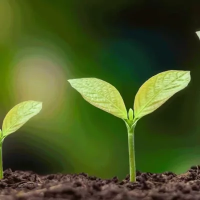 PME, comment décarboner davantage ?